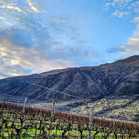 Gibbston - Wake Up In The Vines Daire Dış mekan fotoğraf
