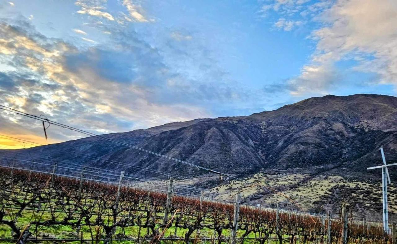Gibbston - Wake Up In The Vines Daire Dış mekan fotoğraf